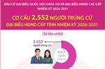 Cơ cấu 2.552 người trúng cử đại biểu HĐND cấp tỉnh nhiệm kỳ 2026-2031