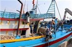 Ngư dân, doanh nghiệp xoay xở thích ứng trước giá nhiên liệu tăng