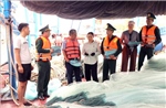Hải Phòng siết chặt giám sát hành trình tàu cá, chống khai thác IUU