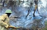 Nghệ An kịp thời dập tắt vụ cháy rừng phía sau núi Mộ Dạ