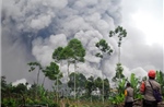 Indonesia duy trì cảnh báo cao do núi lửa Semeru tiếp tục phun trào