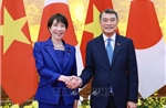 Thủ tướng Lê Minh Hưng hội đàm với Thủ tướng Nhật Bản Takaichi Sanae