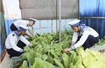 Trường Sa - sức sống nơi tiền tiêu Tổ quốc - Bài 2: Những mầm xanh giữa trùng khơi