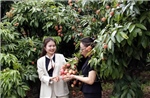 Lan tỏa mạnh thương hiệu vải thiều trên các nền tảng số