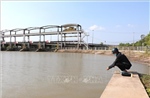 Vĩnh Long ứng phó xâm nhập mặn trong cao điểm mùa khô