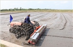 Tích hợp công nghệ số, tăng cơ giới hóa ngành lúa gạo