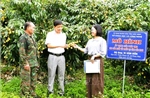 Kết nối 36 vườn vải đẹp ở Bắc Ninh phục vụ khách tham quan, trải nghiệm