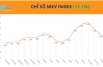Thị trường hàng hóa nguyên liệu rung lắc, MXV-Index vẫn bám đỉnh