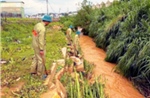 Tìm thấy thi thể bé gái bị nước lũ cuốn trôi