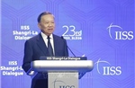 Lòng tin chiến lược - nền tảng của hòa bình và phát triển bền vững