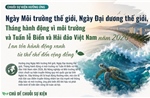 Chuỗi sự kiện hưởng ứng Ngày Môi trường thế giới