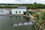 Hướng tới mục tiêu Net Zero - Bài 2: Kinh tế xanh và năng lượng sạch