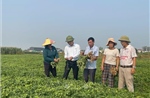 Giống lạc mới, công nghệ chế biến mở hướng xuất khẩu cho nông sản Nghệ An