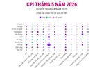 CPI tháng 5 năm 2026 tăng 0,29%