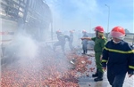 Xe tải chở 10 tấn mận cháy rụi trên cao tốc Diễn Châu - Bãi Vọt