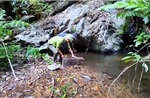 Cộng đồng chung tay bảo tồn động vật hoang dã