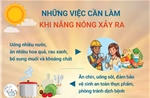 Những việc cần làm khi nắng nóng xảy ra