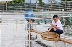 Công nghệ cao 'tiếp sức' ngành tôm