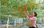 Khơi dậy khát vọng làm giàu, xây dựng nông thôn mới bền vững