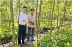Bùng nổ doanh thu nhờ công nghệ