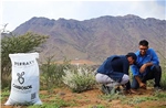 Công nghệ cải tạo đất mở ra triển vọng phục hồi hệ sinh thái sa mạc tại Saudi Arabia