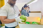 Nhà máy đầu tiên vận hành cả hai công nghệ chiếu xạ cho xuất khẩu trái cây sang Mỹ