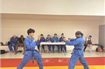 Lan tỏa văn hóa dân tộc qua võ cổ truyền Vovinam tại Pháp