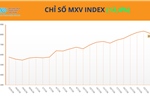 Lực mua áp đảo, MXV-Index tăng tuần thứ 5 liên tiếp