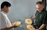Khát vọng cống hiến của người lính Cụ Hồ trong thời bình