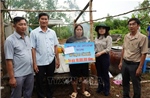 Cà Mau kịp thời hỗ trợ người dân bị ảnh hưởng lốc xoáy tại xã Đá Bạc