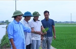 Chuyển biến tích cực từ đội ngũ cán bộ trẻ gần dân, sát dân