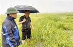 Mưa lớn gây ngập lụt cục bộ nhiều địa bàn tại Hà Tĩnh