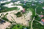 Mưa lũ nhấn chìm hàng nghìn ha lúa, hoa màu ở Bắc Ninh