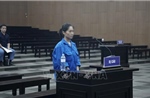 Giám đốc show 'Về đây bốn cánh chim trời' bị phạt 24 tháng tù