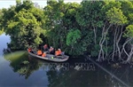 Quảng Ngãi giữ màu xanh rừng ngập mặn, phát triển sinh kế bền vững