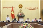 UBTV Quốc hội cho ý kiến về sửa đổi nhiều dự án luật