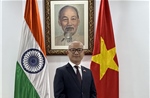 Việt Nam chủ động đóng góp, phát huy vai trò Đối tác trong BRICS