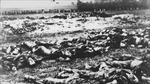Cuộc diệt chủng đầu tiên trong Chiến tranh Thế giới thứ hai
