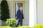 Tổng thống Trump tiết lộ lý do lãnh đạo châu Âu phải nhờ ông liên lạc với Tổng thống Putin
