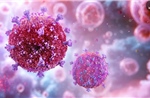 Đột phá khoa học mở đường loại bỏ virus HIV khỏi cơ thể