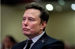 Tài sản của tỷ phú Elon Musk sụt giảm mạnh giữa bất đồng với Tổng thống Trump