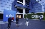 Nhà Trắng đàm phán mua cổ phần Intel, cổ phiếu tăng mạnh