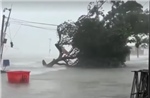 Video bão Matmo càn quét miền Nam Trung Quốc giữa cao điểm nghỉ lễ