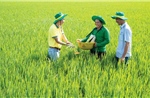 Nghiên cứu, phát triển sản phẩm và chuyển đổi số góp phần tạo bước nhảy vọt cho nông nghiệp Việt Nam