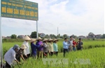 Hội nghị Hữu cơ châu Á lần thứ 8: Đưa nông nghiệp hữu cơ bứt phá