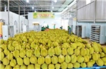 Hệ thống truy xuất nguồn gốc góp phần giữ vững uy tín, nâng cao giá trị nông sản Việt Nam
