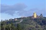 Samten Hills ươm mầm xanh từ miền đất khô khó