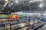 Điện lực TP Hồ Chí Minh: Đảm bảo điện cho khách hàng trong mùa nắng nóng