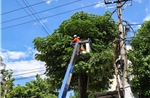 PC Quảng Ngãi chủ động phương án, đảm bảo cấp điện an toàn, liên tục dịp Quốc khánh 2/9