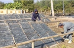 Điện Biên - quyết tâm giảm nghèo bền vững